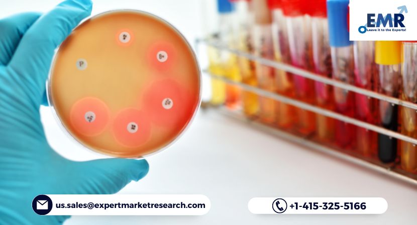 Global Antimicrobial Additives Market Size, Share, Price, Trends, Analysis, Key Players, Report, Forecast 2022-2027 | EMR Inc.